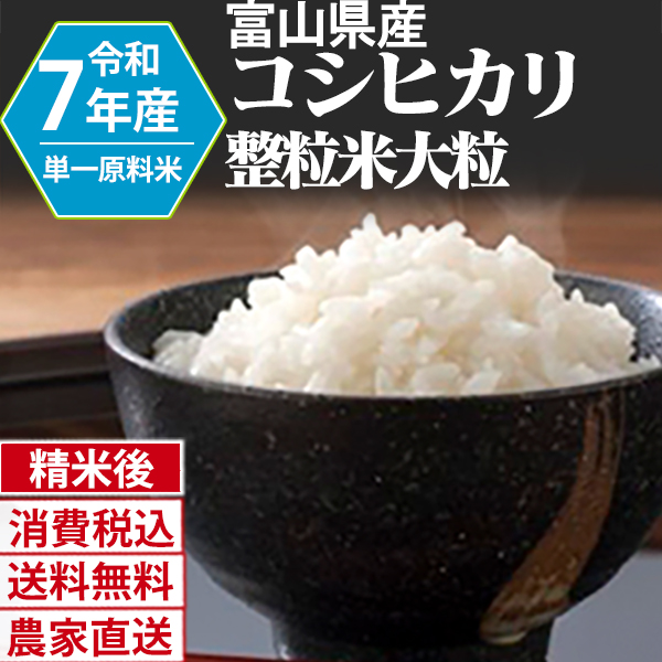 コシヒカリ 富山県 黒部 R7年産 1等米 単銘柄 大粒整粒米 精白米 30kg(5kg×6) 【銀行振込】【賞味期限（精米後） 中米：20日 整粒米：40日】 発送は発送予定表を要確認 (消費税・送料込/配送不可：沖縄・離島)