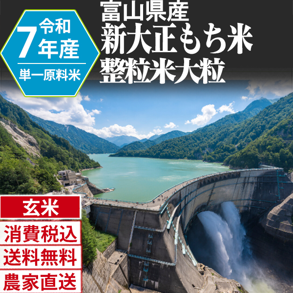 新大正もち米 富山県 黒部 R7年産 1等米 単銘柄 整粒米 玄米 30kg(5kg×6) 【ホットアイテム】【賞味期限（精米後） 中米：20日 整粒米：40日】 発送は発送予定表を要確認 (消費税・送料込/配送不可：沖縄・離島)