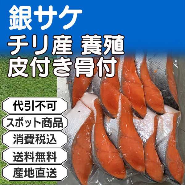 定貫 銀サケ 輸入 養殖 皮付き骨付 切り身  チリ 産 100g10切れ入り10袋 (配送不可：沖縄・離島)