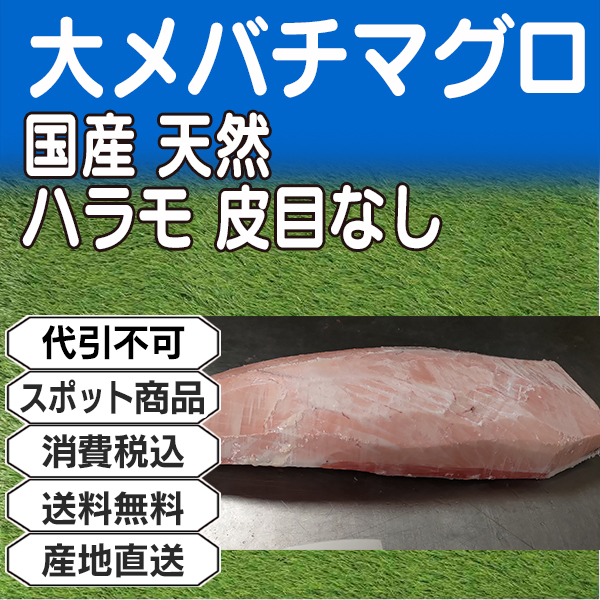 不定貫 大メバチマグロ 国産 天然 背腹込ブロック 皮目なし ハラモ 神奈川県 三浦三崎産 約1kg　5kg箱 (配送不可：沖縄・離島)