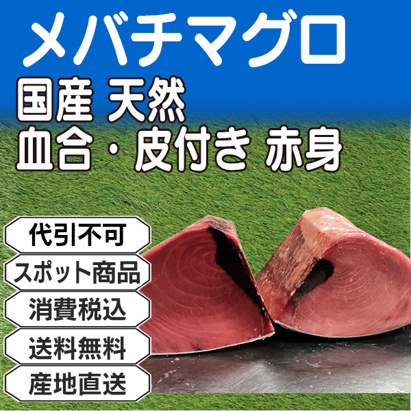 不定貫 メバチマグロ 国産 天然 背腹込ブロック柵 赤身 血合・皮付き 神奈川県 三浦三崎産 10kg箱 (配送不可：沖縄・離島)