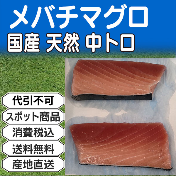 不定貫 メバチマグロ 中トロ 天身なし血合・皮付き 背腹込ブロック柵 国産 天然 神奈川県 三浦三崎産 1kg (配送不可：沖縄・離島)