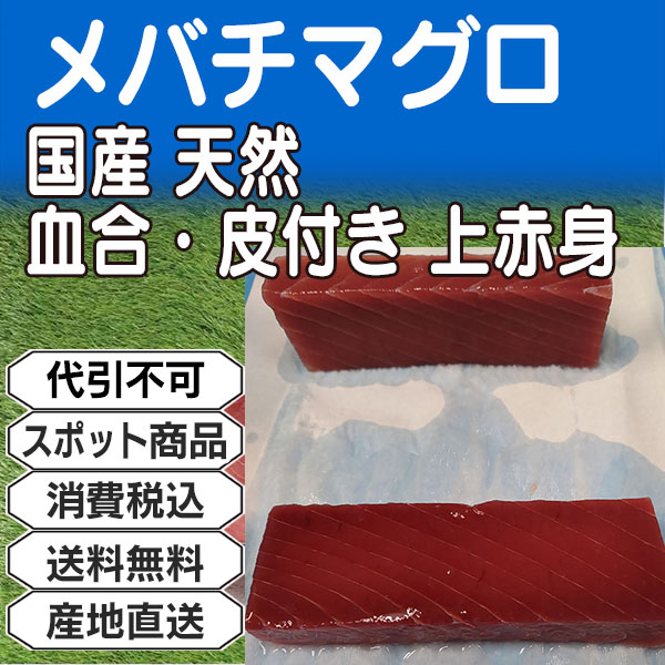 不定貫 メバチマグロ 国産 天然 背腹込サク 上赤身 血合・皮付き 神奈川県 三浦三崎産　5kg箱  (配送不可：沖縄・離島)