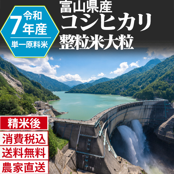 黒部のコシヒカリ 単銘柄 整粒米 精白米  1等米 富山県黒部 R7年産 (配送不可：沖縄・離島)[事前銀行振込対応][Paid・Card決済]