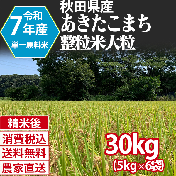 あきたこまち 単銘柄 整粒米 精白米  1等米 秋田県 R7年産  [銀行振込] [Paid・Card決済] [代引決済] (配送不可：沖縄・離島)
