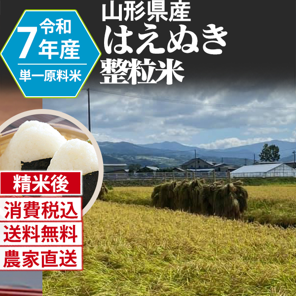はえぬき 山形県 R7年産 1等米 単銘柄 整粒米 精白米 25kg(5kg×5)×6 【代引不可】 発送は発送予定表を要確認 (消費税・送料込/配送不可：沖縄・離島)