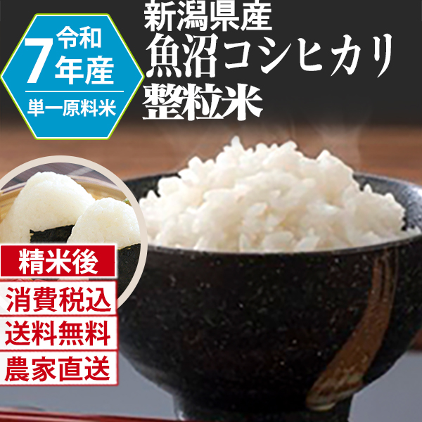 魚沼コシヒカリ 新潟県 R7年産 1等 単銘柄 整粒米 精白米 30kg(5kg×6) ×3【代引不可】 発送は発送予定表を要確認 (消費税・送料込/配送不可：沖縄・離島)