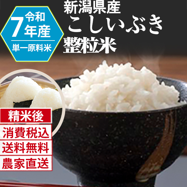 こしいぶき 新潟県 R7年産 1等 単銘柄 整粒米 精白米 30kg(5kg×6)×6 【代引不可】 発送は発送予定表を要確認 (消費税・送料込/配送不可：沖縄・離島)