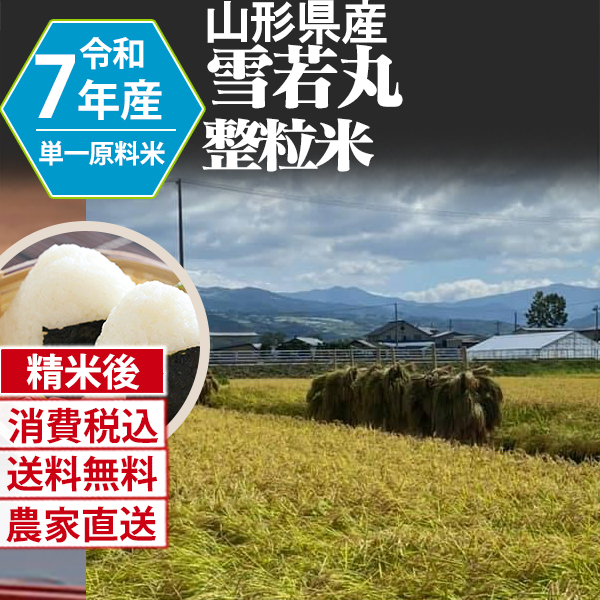雪若丸 山形県 置賜 R7年産 1等米 単銘柄 整粒米 精白米 150kg(5kg×5)×6 【銀行振込_Paid決済_Card決済】【代引不可】 発送は発送予定表を要確認 (消費税・送料込/配送不可：沖縄・離島)