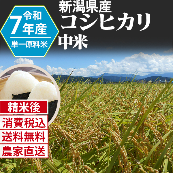 コシヒカリ 新潟県 加茂 R7年産 1等米 単銘柄 中米 精白米 180kg(5kg×6)×6 【銀行振込】発送は発送予定表を要確認 (消費税・送料込/配送不可：沖縄・離島)