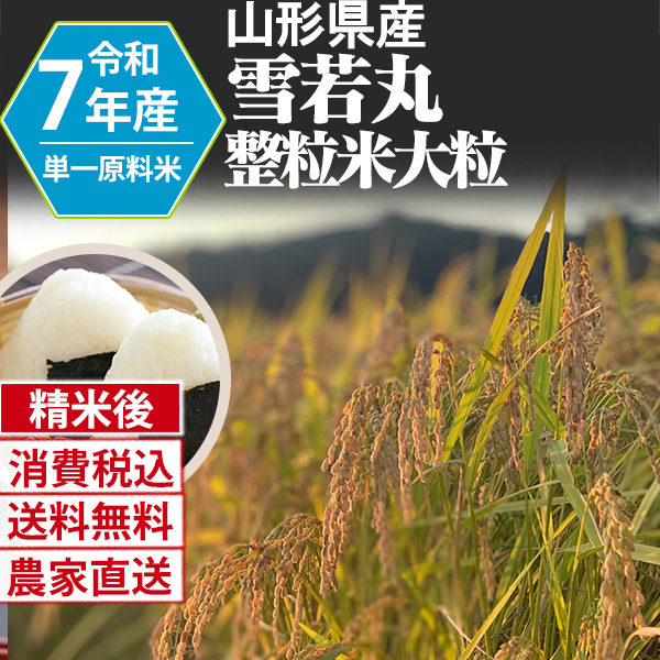 雪若丸 山形県 南陽 R7年産 1等米 単銘柄  精米した白米 25kg(5kg×5) 【銀行振込_Paid決済_Card決済】【代引不可】 発送は発送予定表を要確認 (消費税・送料込/配送不可：沖縄・離島)