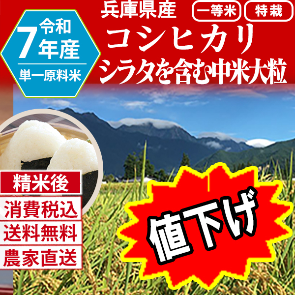 シラタを含むコシヒカリ 兵庫県 豊岡 R7年産  単銘柄 大粒中米 精白米 30kg(5kg×6) 【銀行振込_Paid決済_Card決済】【賞味期限（精米後） 中米：20日 整粒米：40日】 発送は発送予定表を要確認 (消費税・送料込/配送不可：沖縄・離島)