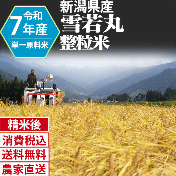 新之助 新潟県 南魚沼 R7年産 1等米 単銘柄 大粒整粒米 精白米 180kg(5kg×6)×6 【銀行振込_Paid決済_Card決済】【賞味期限（精米後） 中米：20日 整粒米：40日】 発送は発送予定表を要確認 (消費税・送料込/配送不可：沖縄・離島)