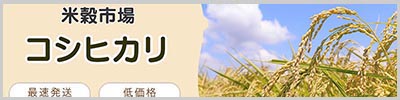 コシヒカリ