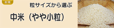 中米（やや小粒）